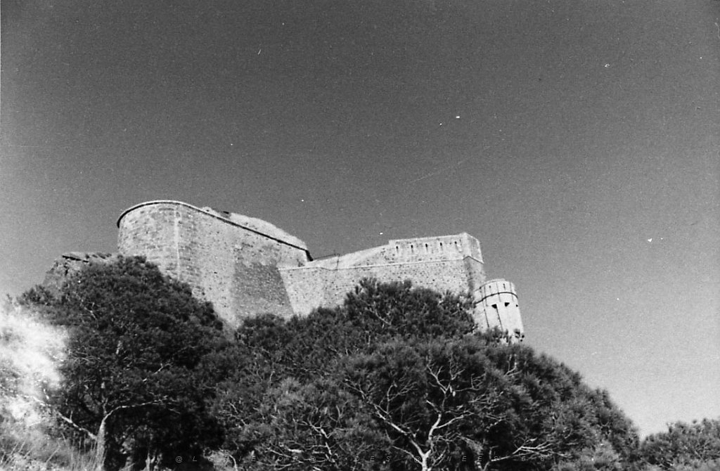ORAN 02400.jpg